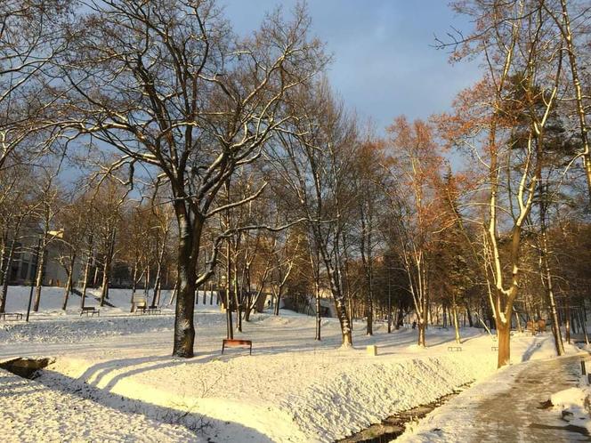 Park Miejski w Starachowicach w zimowej szacie