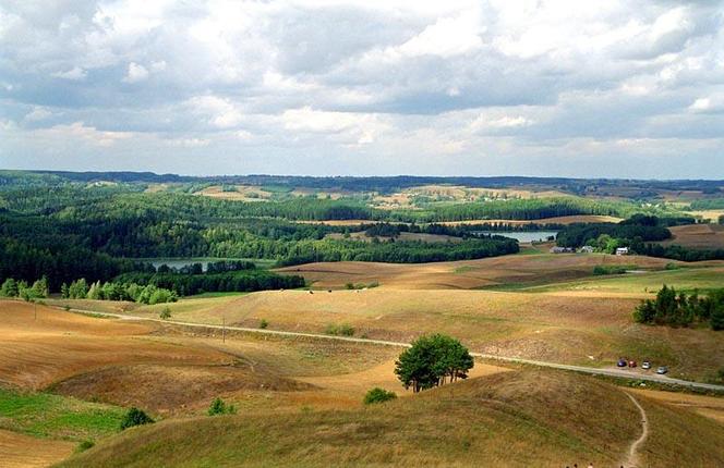 Góra Cisowa. "Suwalska Fudżijama" na terenie Suwalskiego Parku Krajobrazowego