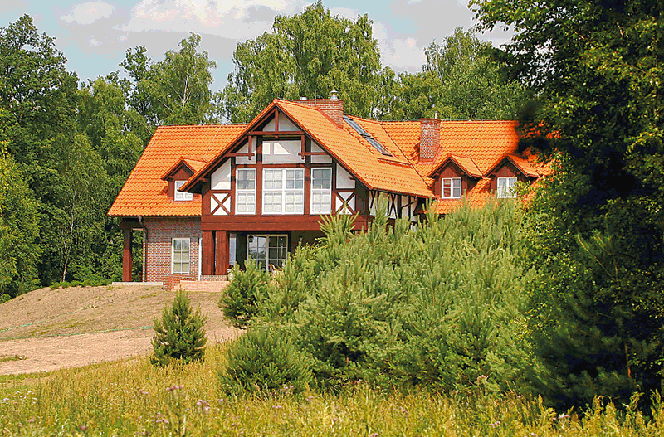 Miłość w szuwarach