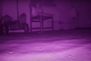 Nawiedzony dom w Jeleniu 