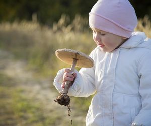 Nie tylko leśne grzyby mogą sprawiać kłopoty. Kiedy podać je dziecku?