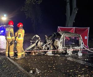 Volvo wbiło się w drzewo i stanęło w płomieniach. Kierowca spłonął żywcem! 