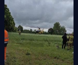 Wypadek pod Radomskiem. Bus wbił się w drzewo! Sześć osób w szpitalu, droga zablokowana