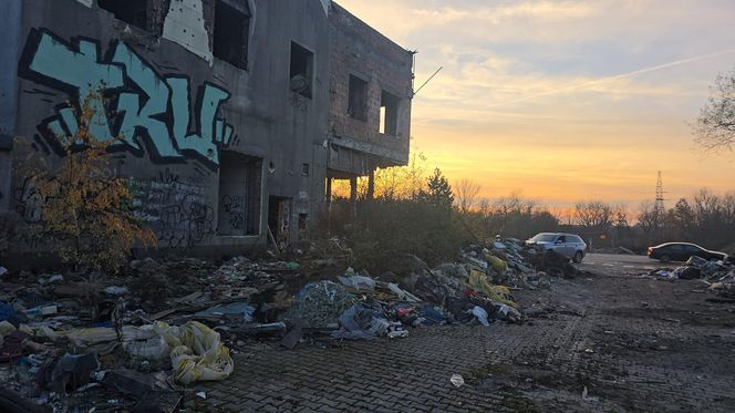 Duże zmiany Nowej Hucie. Trwa wielkie sprzątanie po latach zaniedbań 