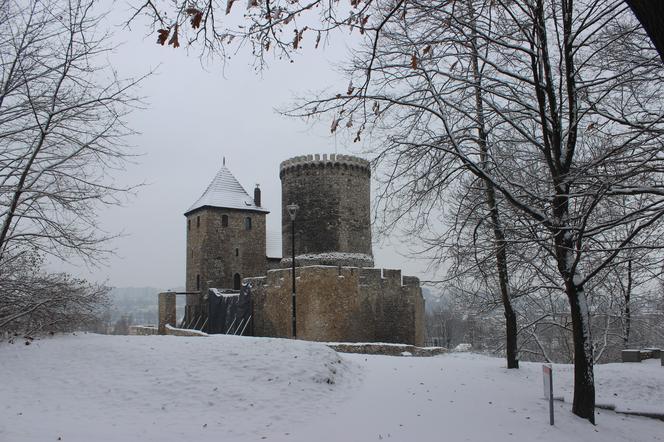 Zamek w Będzinie 