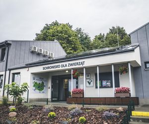 Świąteczna paka dla zwierzaka