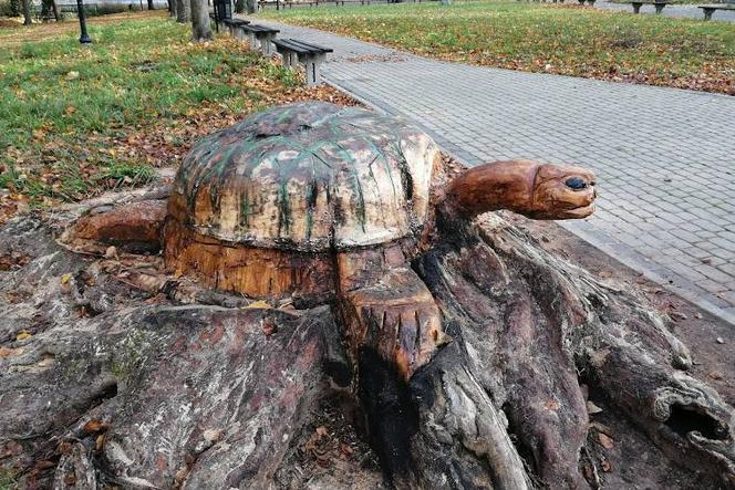 Rzeźba żółwia w Trzcińsku-Zdroju
