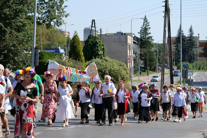 Dzień Seniora w Starachowicach