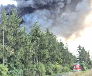 Pożar hal produkyjnych w Siarzewie