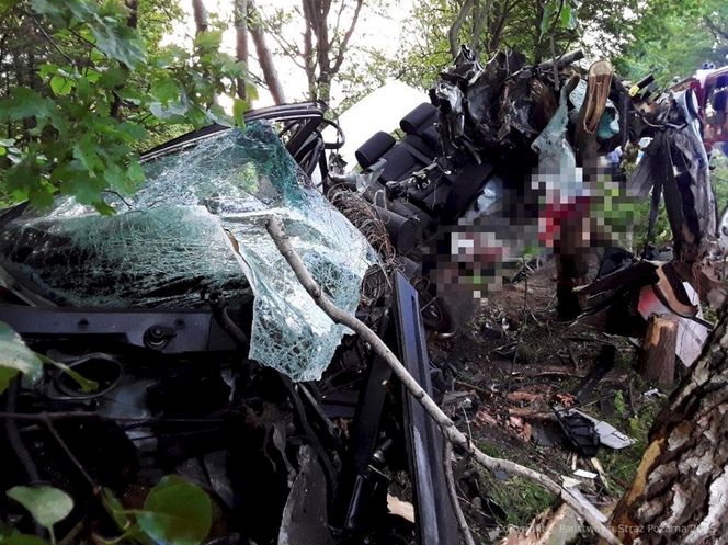 Łódź. Koszmarny wypadek 28-latka na ul. Frezjowej. Z BMW nic nie zostało 