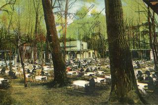 Bydgoszczy na dawnych pocztówkach