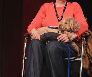 Zrobiła karierę w USA. Niestety los dla tej polskiej aktorki nie był dla niej łaskawy