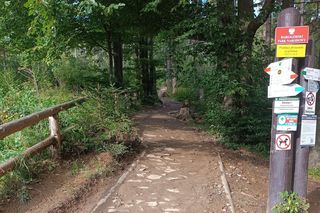 Babia Góra zamknięta. Szlaki zamknął Babiogórski Park Narodowy do odwołania 
