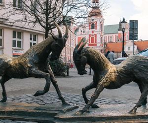 Poznań będzie jak Wrocław! Niebawem figurki koziołków pojawią się na ulicach miasta!