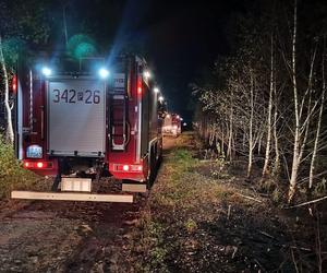 Pożar lasu w Zajączkach koło Kalisza - najprawdopodobniej było to podpalenie