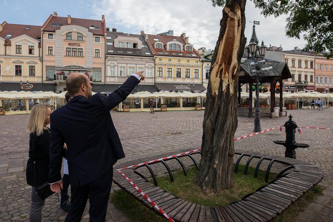 Rzeszów: Drzewo na Rynku zagrożone. Wczorajsza wichura ułamała jeden z konarów