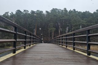 To najpiękniejsze miejsce w Olsztynie. Sztuczna inteligencja wybrała