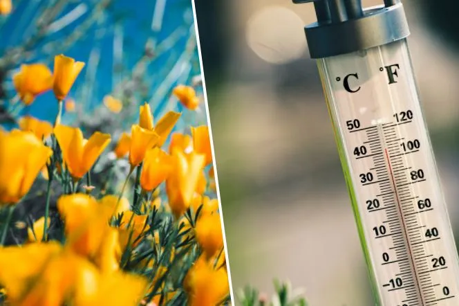 Kiedy zrobi się ciepło? IMGW podało konkretną datę. Tego dnia temperatura wystrzeli w górę! 