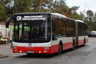 Na cmentarze najlepiej pojechać komunikację miejską. W sobotę autobusem pojedziemy za darmo