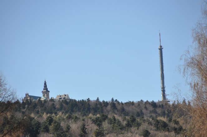 Nowa Słupia, Puszcza Jodłowa i Święty Krzyż