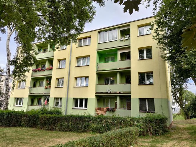 Zabił seniorkę rodu i okradł jej mieszkanie