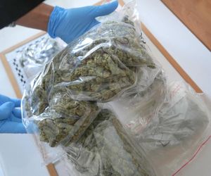 Policyjny nalot na mieszkanie w Toruniu. Zatrzymali 24-latka, znaleźli narkotyki