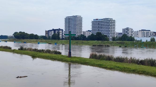 Odra we Wrocławiu, 19 września 2024, w tle osiedle Kleczków 