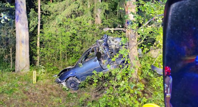 Kierowca seata nie żyje. Auto roztrzaskało się na drzewie. Tragiczny wypadek na DK 65