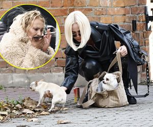 Królowe przetrwania wracają! Dużo różu, seksowne ciuszki, pieski, a nawet zgubny nałóg! Która wygra 3. edycję show?