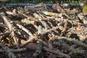 Chrust plus – ceny i zasady zbierania drewna na opał w lesie