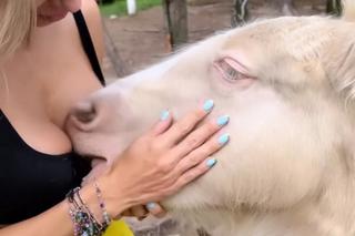 Kucyk rzucił sie na Dodę