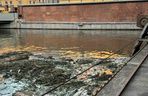Wrocław. Ciało młodego chłopaka wyłowione z Odry. Tragedia pod elektrownią wodną [ZDJĘCIA]. 