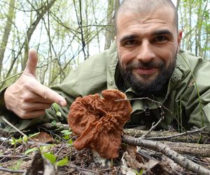 Zbiory Piotra Grzesia - twórcy bloga Grzybów znawca