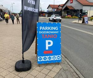 Krynica Morska to popularne miejsce na urlop. Jakie sątu ceny?