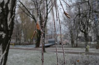 Prognoza pogody na Święta 2019