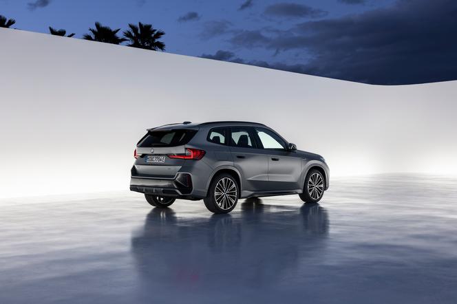 BMW X1 xDrive30e