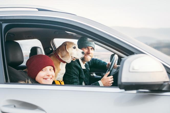 Co to jest Zielona Karta OC i gdzie jest wymagana?