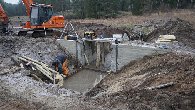 Na Warmii powstaje ptasie "El Dorado". Sztuczne wyspy przyciągną rybitwy [ZDJĘCIA]