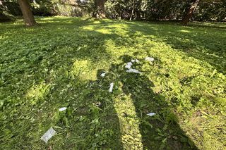 Dramat w parku w Pasłęku. Dwóch nastolatków ugodzonych nożem