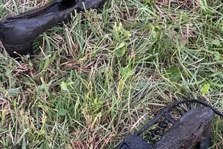 Nagranie Noworocznego odcinka Familiady