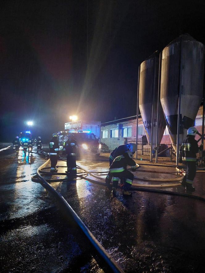 Pożar chlewni pod Piotrkowem Trybunalskim. Ponad 2 tysiące zwierząt zginęło