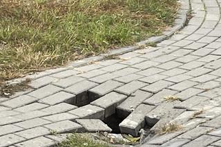 Zapadający się chodnik w Toruniu. Zdjęcia mówią wszystko