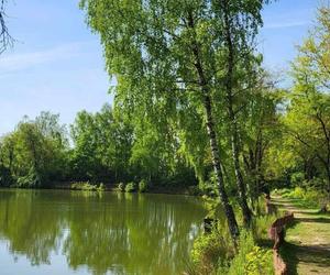 Kraków - Park Tetmajera