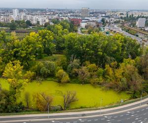 Port Praski - widok z drona, wrzesień 2024