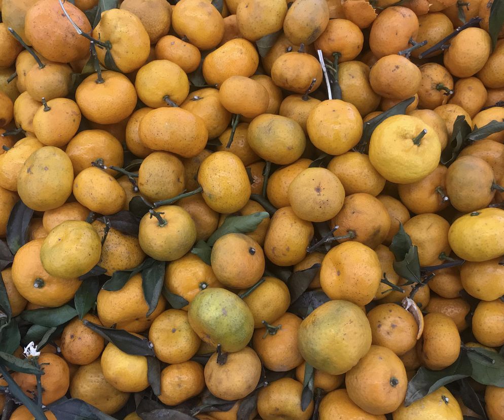 Na wzrok, odporność i smukłą sylwetkę. Właśnie trwa na nie sezon