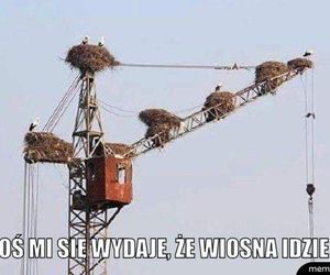 Wiosna 2025: Memy opanowały internet! Zobacz najzabawniejsze memy na powitanie wiosny [21.03.2025]