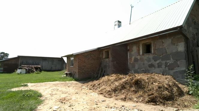 Chłopaki do wzięcia. Henio odnowił swój dom z rozmachem! Nowe wnętrze zachwyca