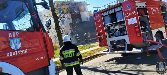 Pożar mieszkania w Gostyninie! Większemu nieszczęściu zapobiegli strażacy! [ZDJĘCIA]