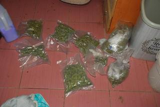 39-latek z gminy Sztutowo ukrył marihuanę między pomidorami