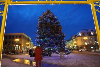 Piękna choinka na Rynku Kościuszki już w pełnej krasie. Tak prezentuje się po odpaleniu lampek